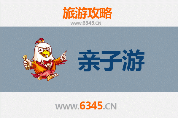 乐东九所镇亲子游攻略：探索自然与文化的家庭乐园